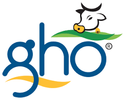 Gho