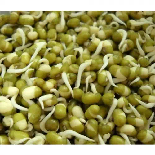 SPROUTS 200 gm