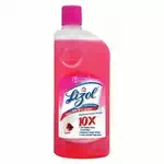 Lizol Floral Disinfectant Surface Cleaner