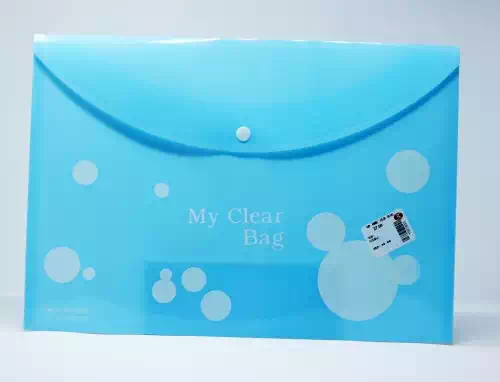 WORLD ONE MY CLEAR BAG (DC205CP) 1 Nos
