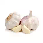 Hill garlic