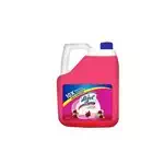 Lizol Floral 5ltr