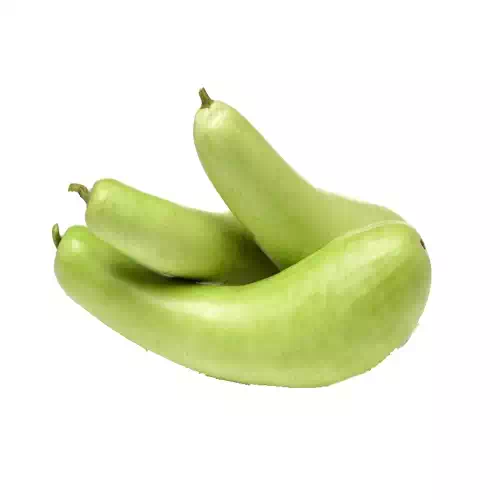 Bottle Gourd bangalore  1 kg