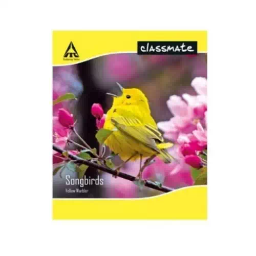 ST CLASSMATE NOTE RULED 19*15.5CM 1 Nos