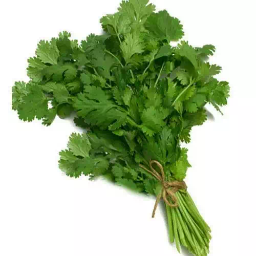 CORIANDER LEAVES 1 Bunch