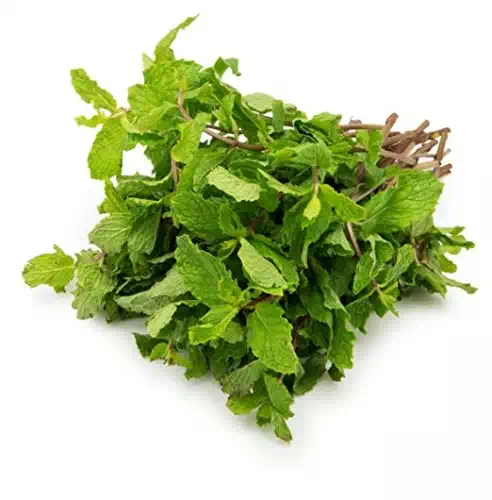 MINT LEAVES 1 Bunch