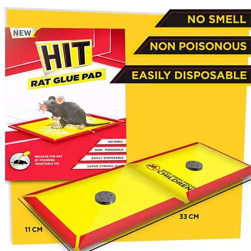 HIT RAT GLUE PAD 1 Nos