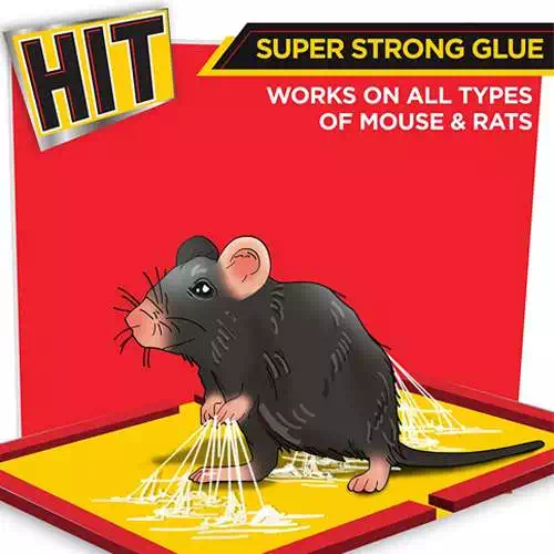 HIT RAT GLUE PAD 1 Nos