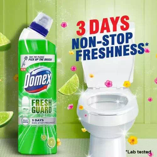 DOMEX LIME FRESH & CLEAN  DISINFECTANT TOILET CLEANER 500 ml