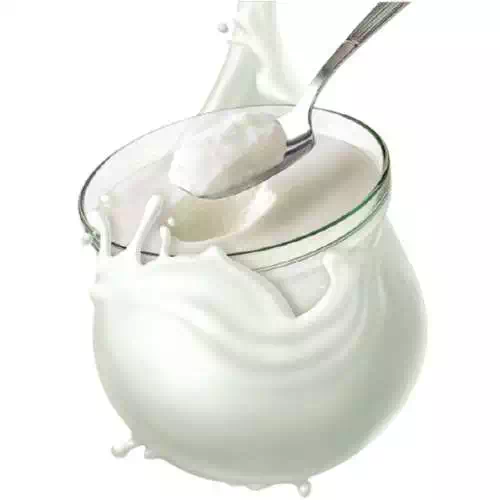 HATSUN CUP CURD 400 gm