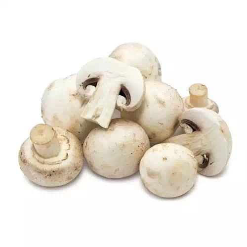 BUTTON MUSHROOM (IMP) 1 Pack