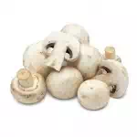 Button mushroom (imp)