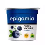 Epigamia blueberry 90gms