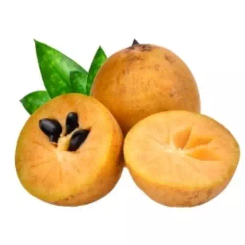 Sapota  1 kg