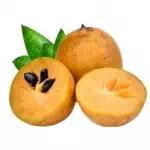 Sapota