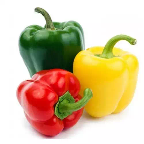 Colour Capsicum 250 gm