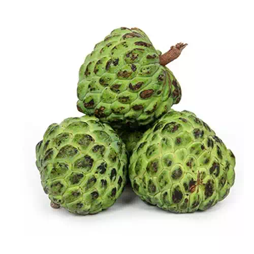 CUSTARD APPLE 500 gm
