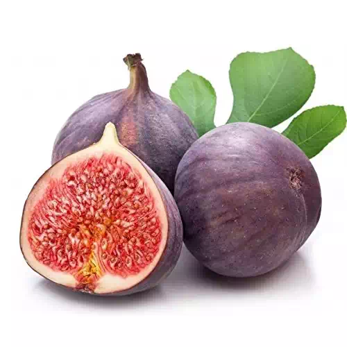 Figs Small Box 1 BOX