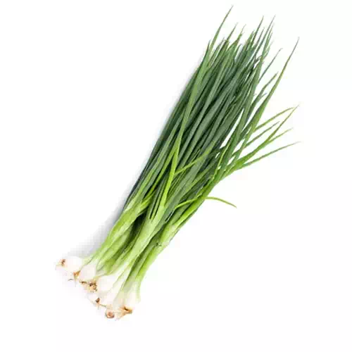 Spring Onion  1 Bunch