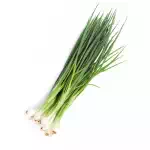 Spring onion