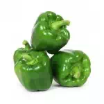 Capsicum/kodamilakai