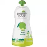 Paper Boat Aam Panna Drink