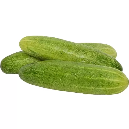 CUCUMBER NORMAL 1 kg