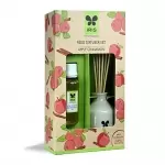 Iris apple cinnamon reed diffuser set