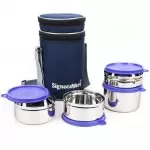 Signoraware executive steel big lunch box