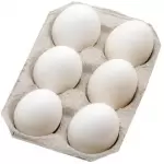Suguna Nutri Eggs 6pcs