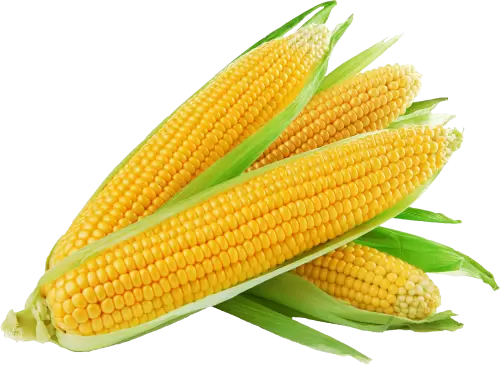 American Corn 1 kg