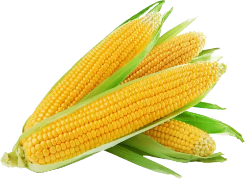 AMERICAN CORN 1 kg