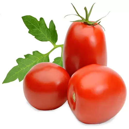 TOMATO BANGALORE 1 kg