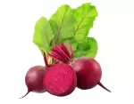 Beet root