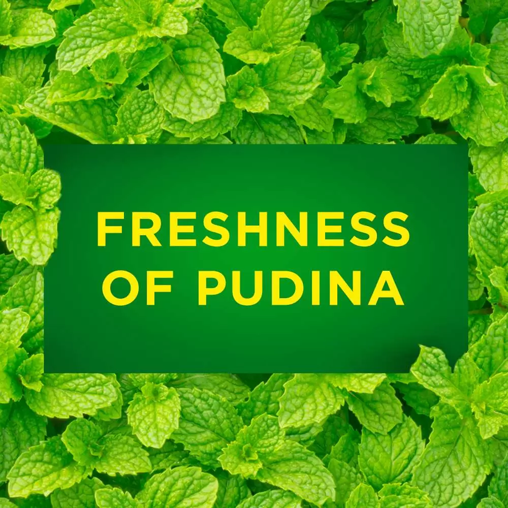 VIM PUDINA FRESH LIQUID  500 ml