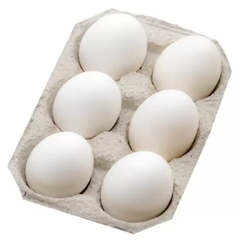 EGG 6 pcs