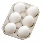 EGG 6pcs