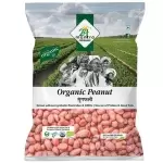 24 MANTRA ORGANIC PEANUT 500gm