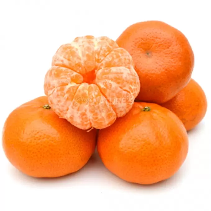 BABY ORANGE (U.S.A) 1 kg