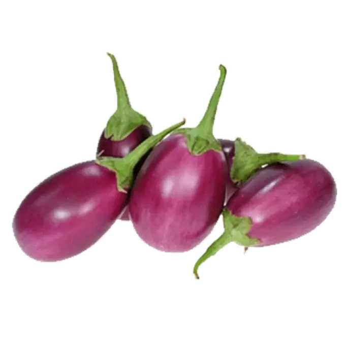 Brinjal (Bhavani) 250 gm