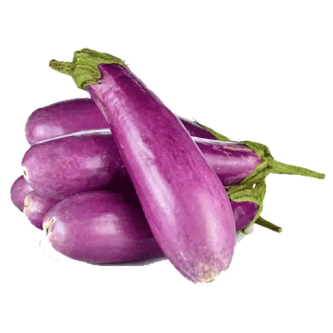Brinjal  (Ujala) 250 gm