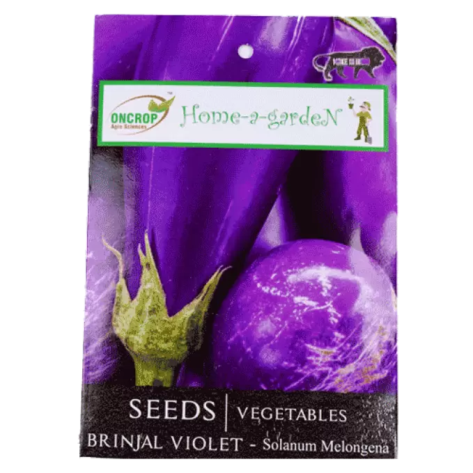 ONCROP BRINJAL VIOLET SEEDS 8g 8 gm