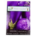 Oncrop Brinjal Violet Seeds 8g