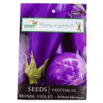 ONCROP BRINJAL VIOLET SEEDS 8g 8gm