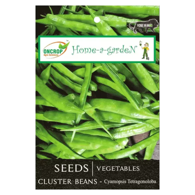 ONCROP CLUSTER BEANS SEEDS 10g 10 gm