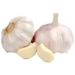 Hill garlic