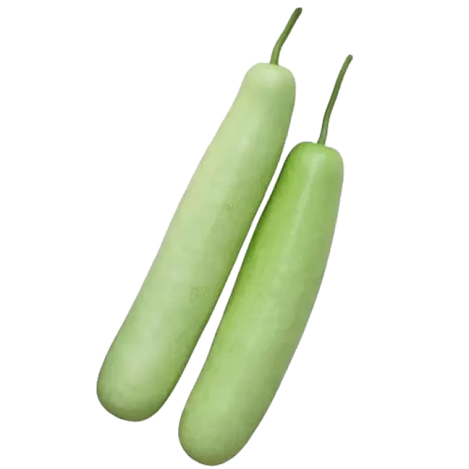 BOTTLE GOURD BANGALORE/SURAIKAI  1 kg