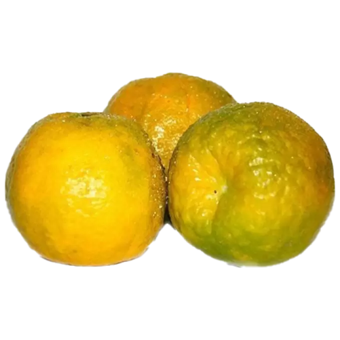 ORANGE KAMALA 1 kg