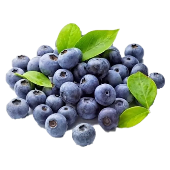 BLUEBERRY FRUITS BOX 1 BOX