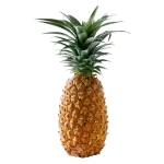 Pineapple full